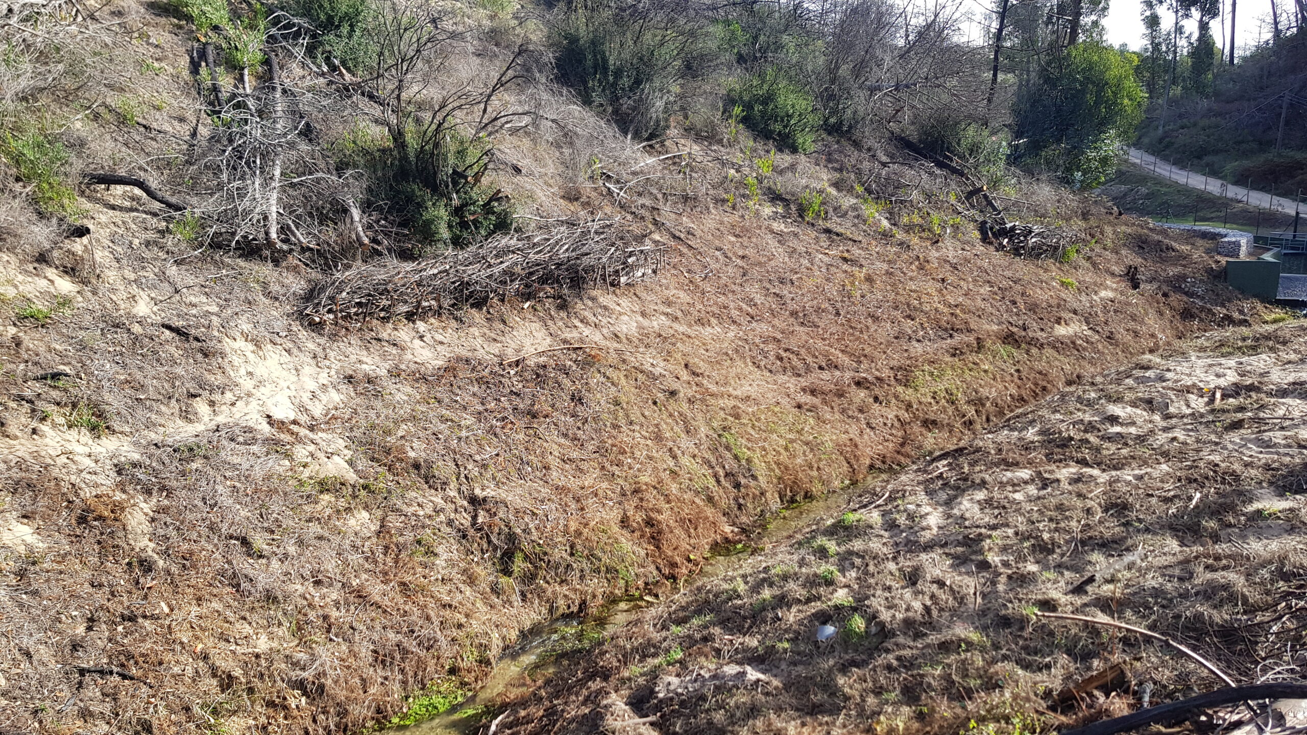 Fogos - CM Alcobaça (Leiria)